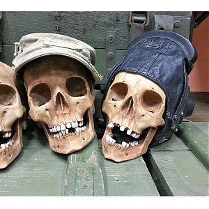 Череп из гипса