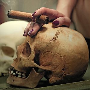 Череп из гипса